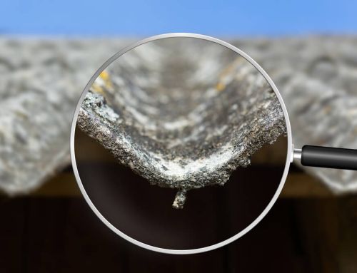 Asbestos Management Survey Cost in 2025: What You Need to Know
