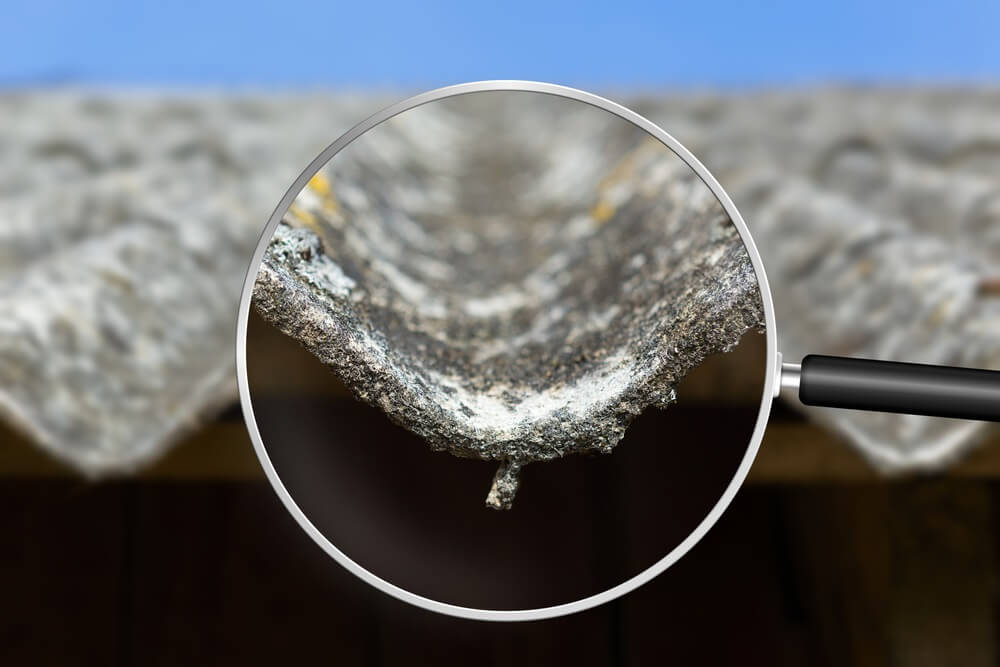 Asbestos survey cost Asbestos survey cost
