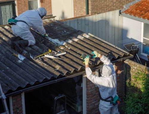 Asbestos Management Survey | A Landlord’s Guide to Safety and Compliance