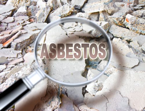 How Do I Know if I Need an Asbestos Survey?