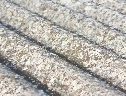 Everything About Asbestos Survey Regulations for Safe Property Management